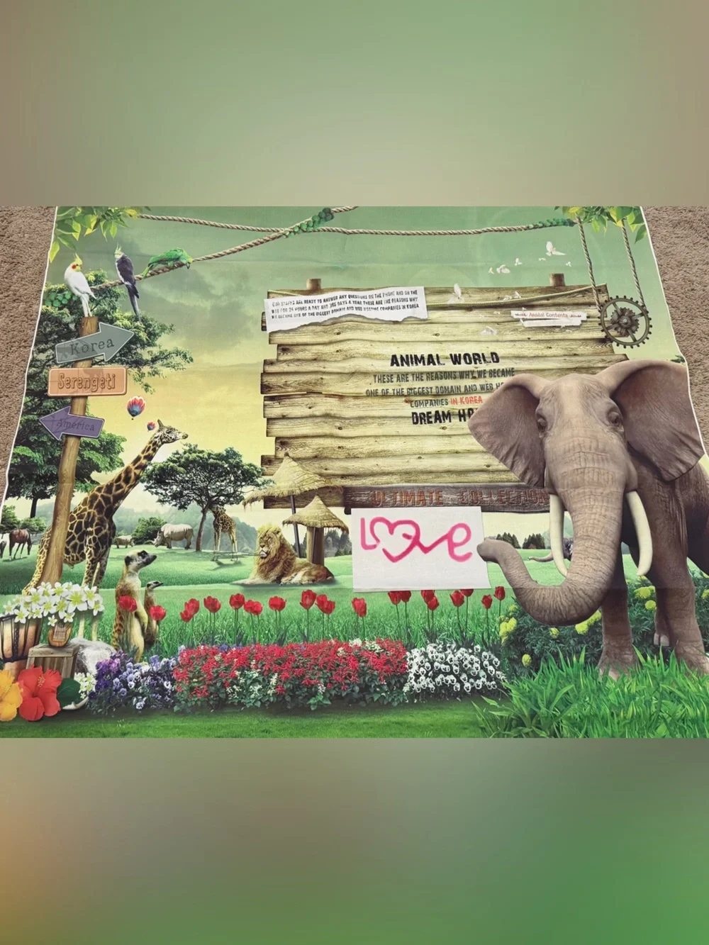 Zoo Backdrop